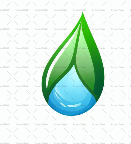 Wassertropfen und Blatt